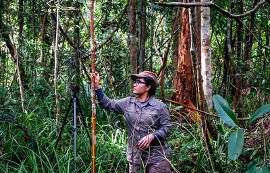 Stakeholders perceptions on opportunities and challenges for forest carbon market in Vietnam. 