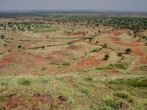 La Grande Muraille Verte (GMV)