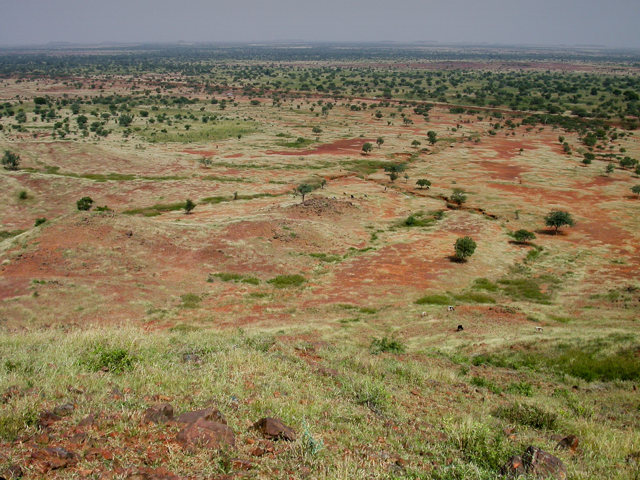 La Grande Muraille Verte (GMV)