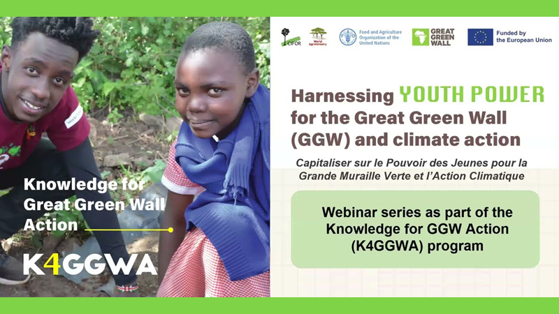 Harnessing Youth power for the Great Green Wall (GGW) and Climate Action