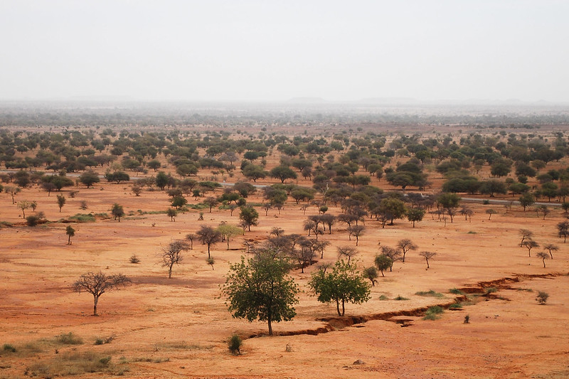 Actions are multiplying for the Great Green Wall initiative
