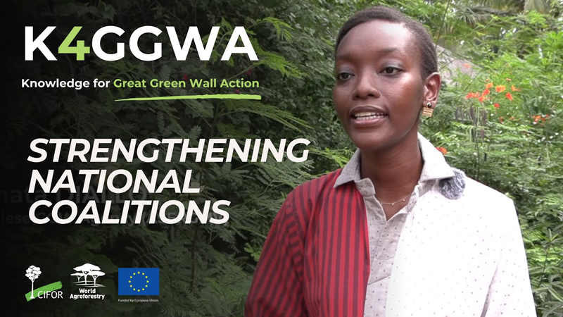 Strengthening National Coalitions for Great Green Wall Action