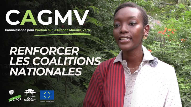 Renforcer les Coalitions Nationales pour les Actions de la Grande Muraille Verte