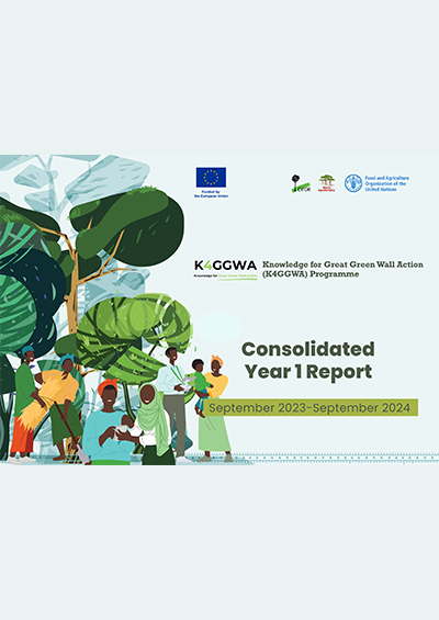 Knowledge for Great Green Wall Action (K4GGWA) Programme – Consolidated Year 1 Report (September 2023-September 2024)