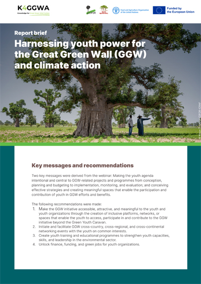 Harnessing youth power for the Great Green Wall (GGW) and climate action