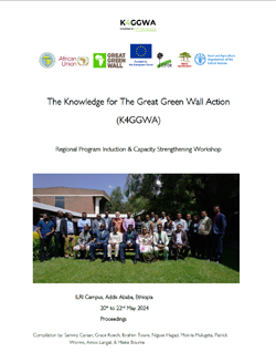 Regional Program Induction & Capacity Strengthening Workshop – Ethiopia