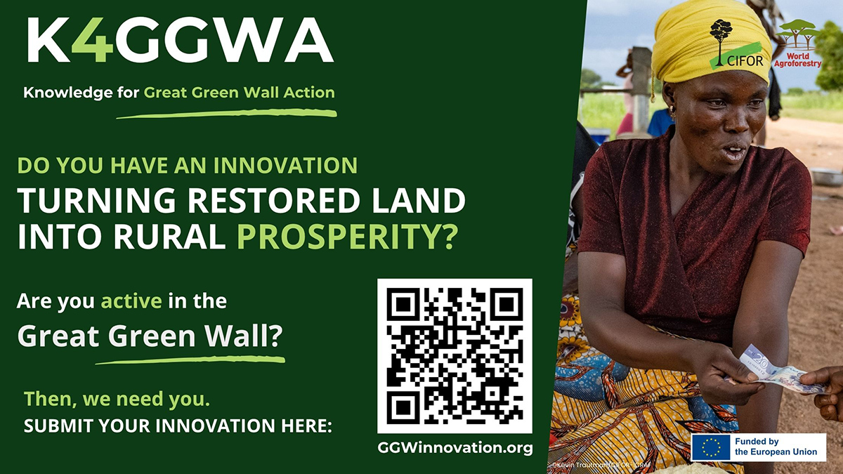 Turning Restored Land into Rural Prosperity