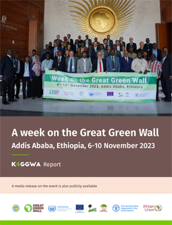 A week on the Great Green Wall