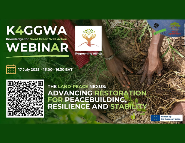 The Land-Peace Nexus: Advancing Restoration for Peacebuilding, Resilience, and Stability