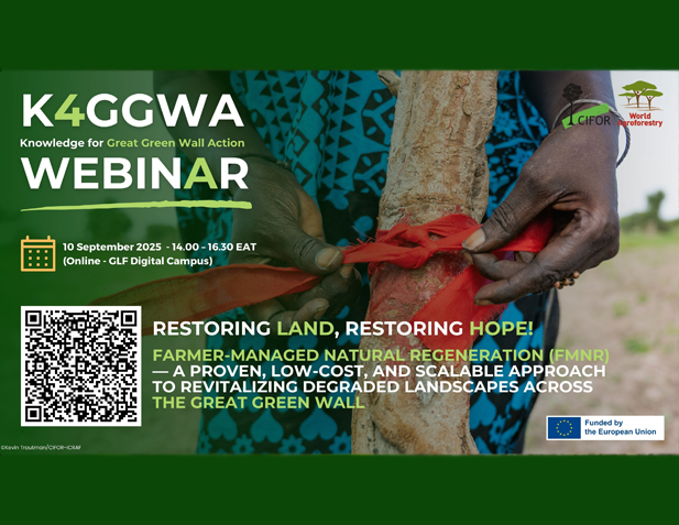 Unpacking Farmer-Managed Natural Regeneration (FMNR) as a Land Restoration Approach