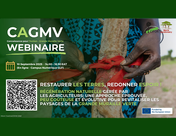 Régénération Naturelle Gérée par les Agriculteurs: Une Approche Éprouvée, peu Coûteuse et Évolutive pour Revitaliser les Paysages de la Grande Muraille Verte