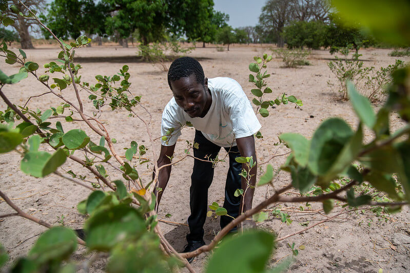 Regreening Africa: Steering Committee in Senegal May 2022