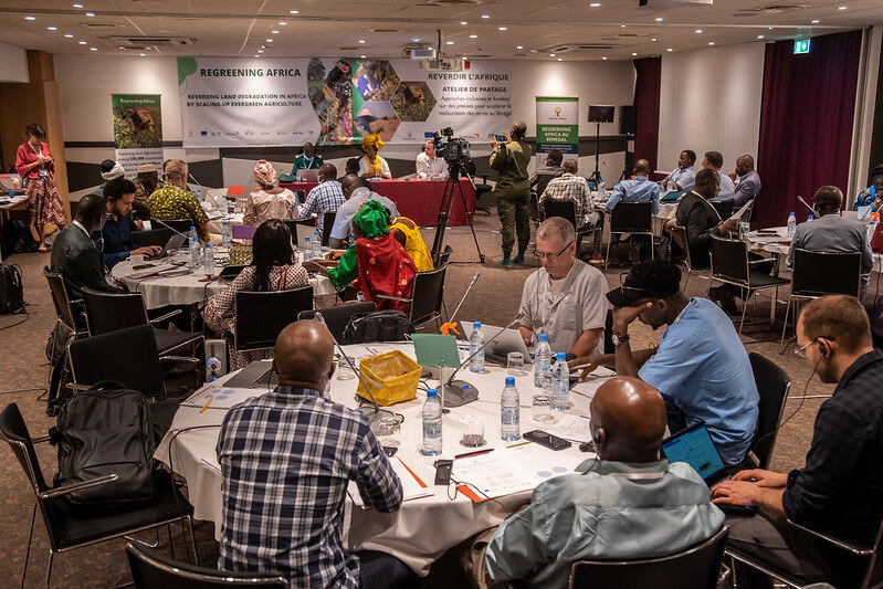 Regreening Africa: Shared Workshop in Senegal June 2022