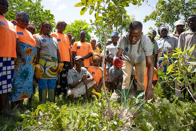Regreening Africa: Ghana 2022
